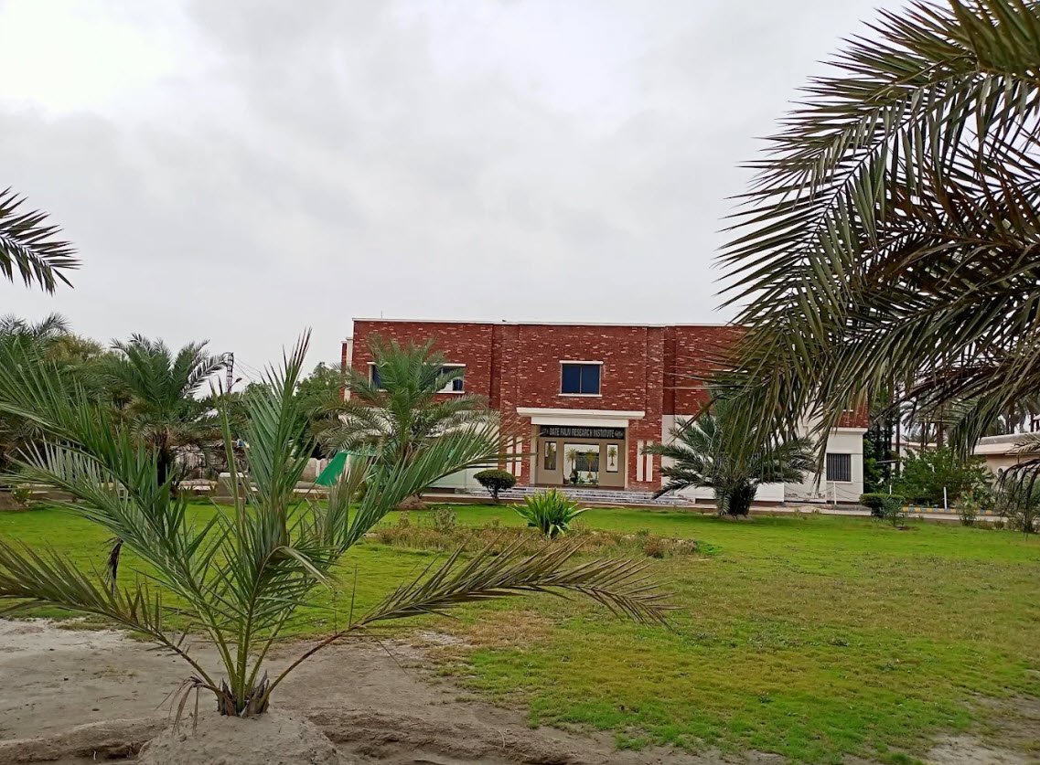 Shah Abdul Latif University Khairpur, Khairpur, Pakistan, Pakistan